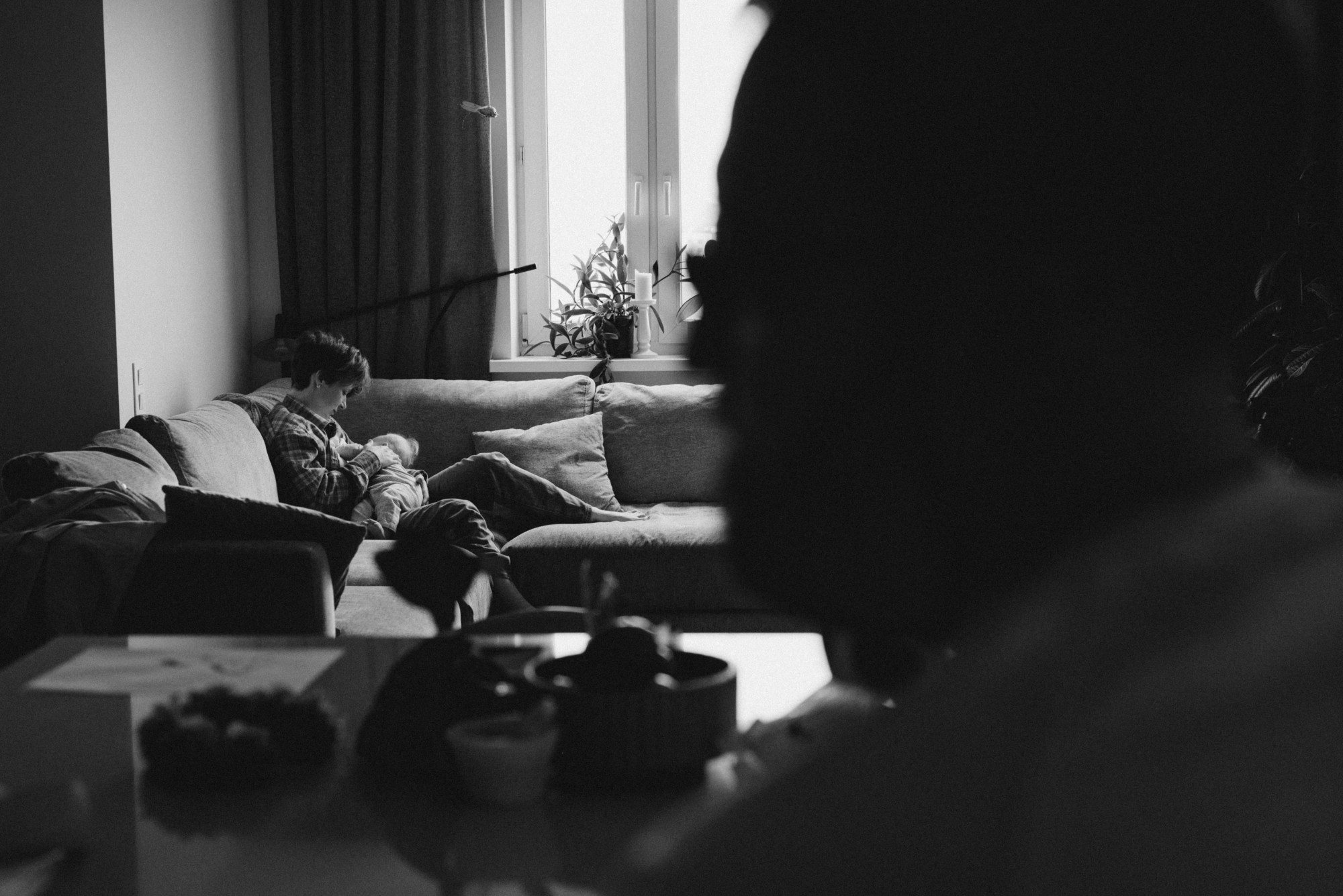 VASILEK - Фотограф Дарья Ухарцева