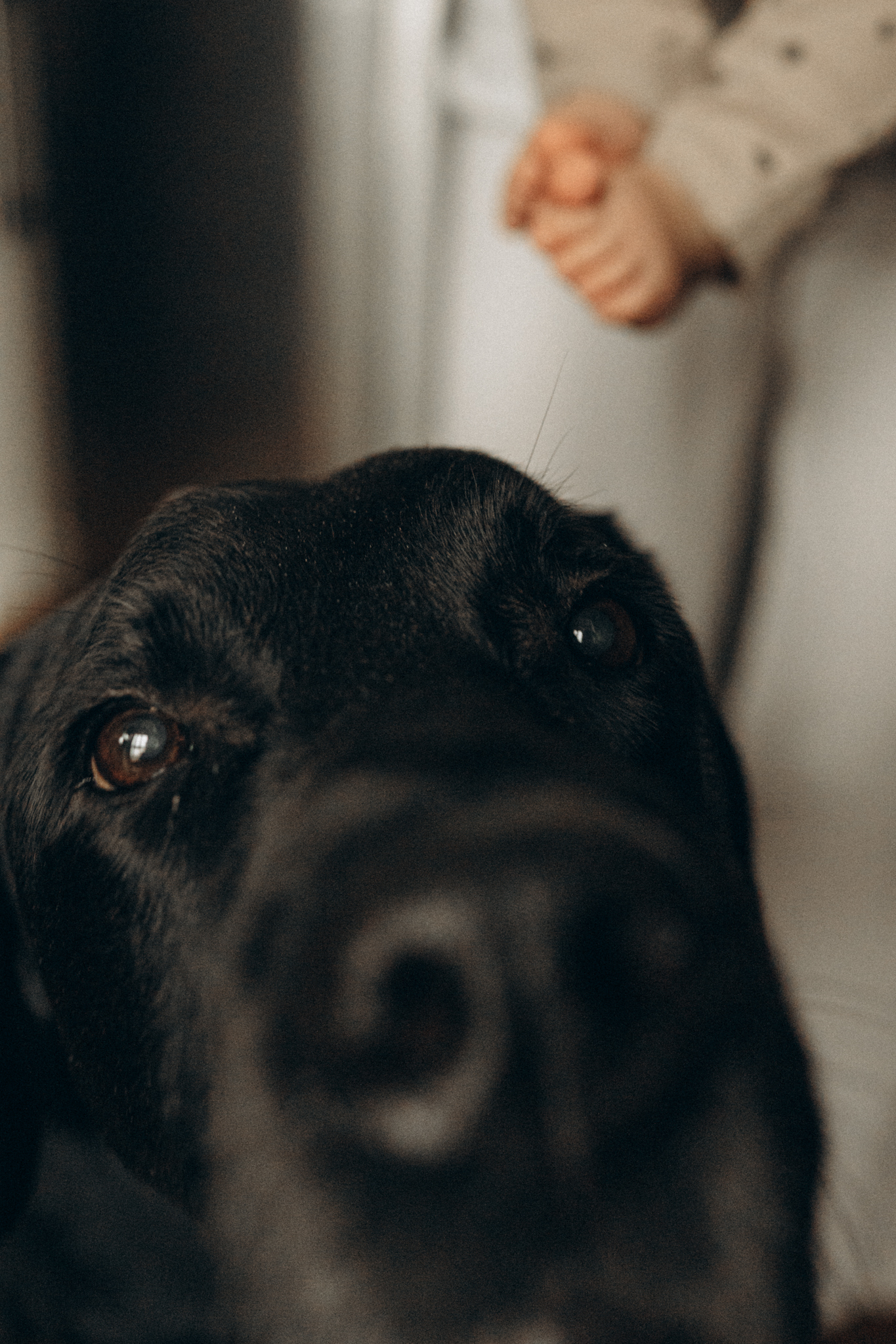 LLLK - Фотограф Дарья Ухарцева